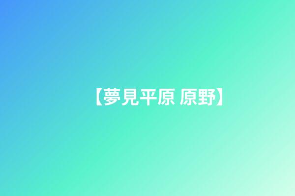 【夢見平原 原野】